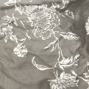 Meet your Posher, Jojo!